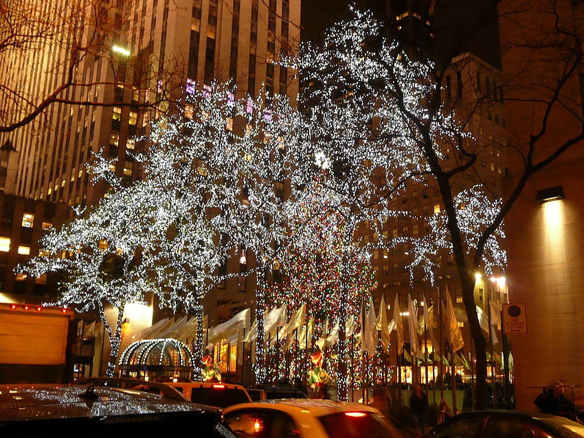 Christmas Tree Lighting New York City, christmas ceremonies HD