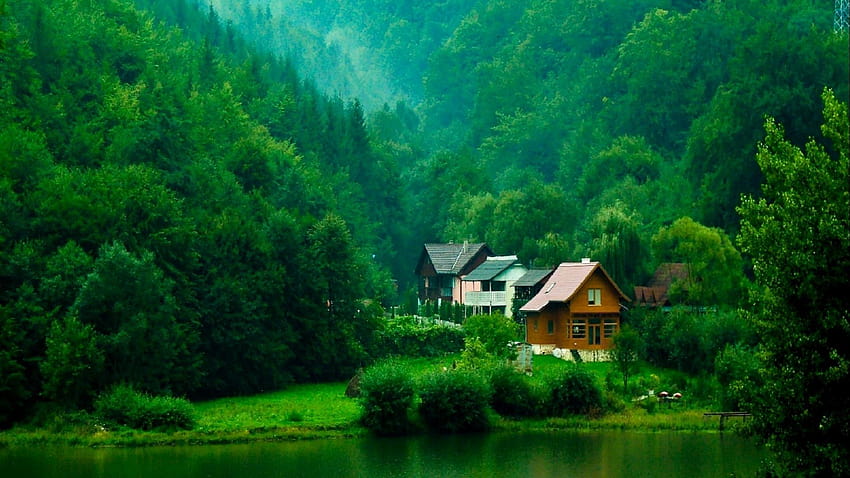 Transylvania Romania Green Nature 1920x1080 HD wallpaper