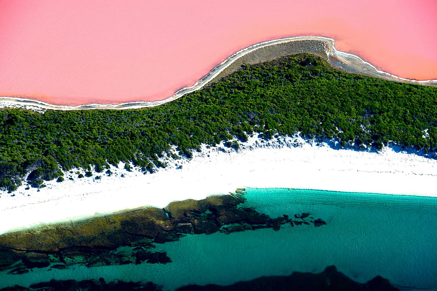 Lake Hillier Australia Pink Lake Tapeta HD