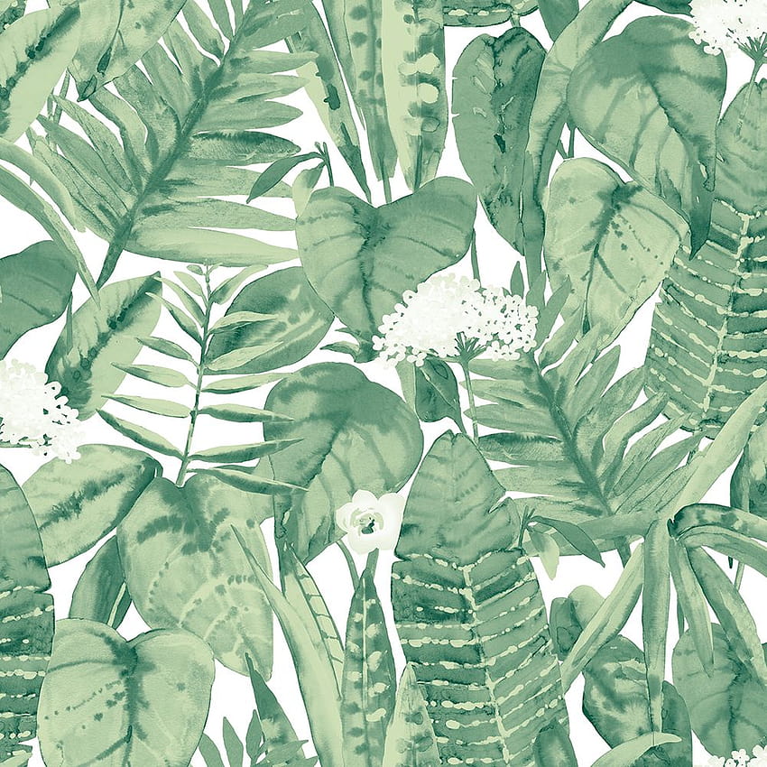 열대 녹색 잎 이동식, 열대 정글 HD 전화 배경 화면