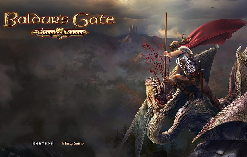 ejderha, savaşçı, Baldur's Gate, Wyvern Slayer, baldurs gate geliştirilmiş sürüm HD duvar kağıdı
