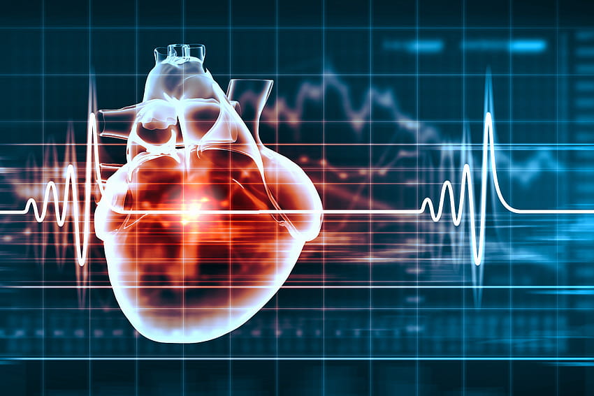 MUGA For the Health of Your Heart Canadian Nuclear Association [6000x4000] dla Twojego telefonu komórkowego i tabletu, kardiologia Tapeta HD