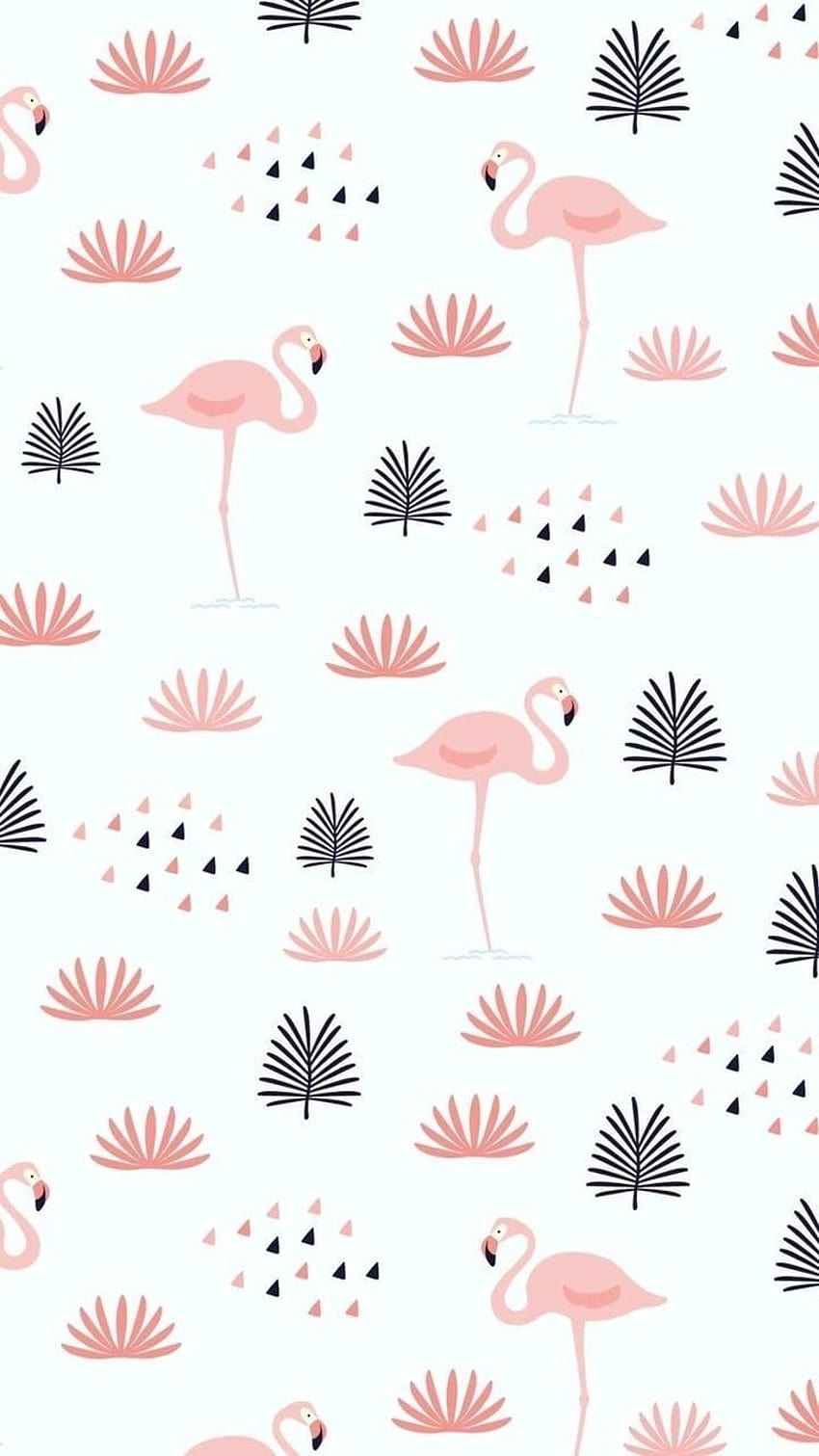 Flamingo yang lucu wallpaper ponsel HD