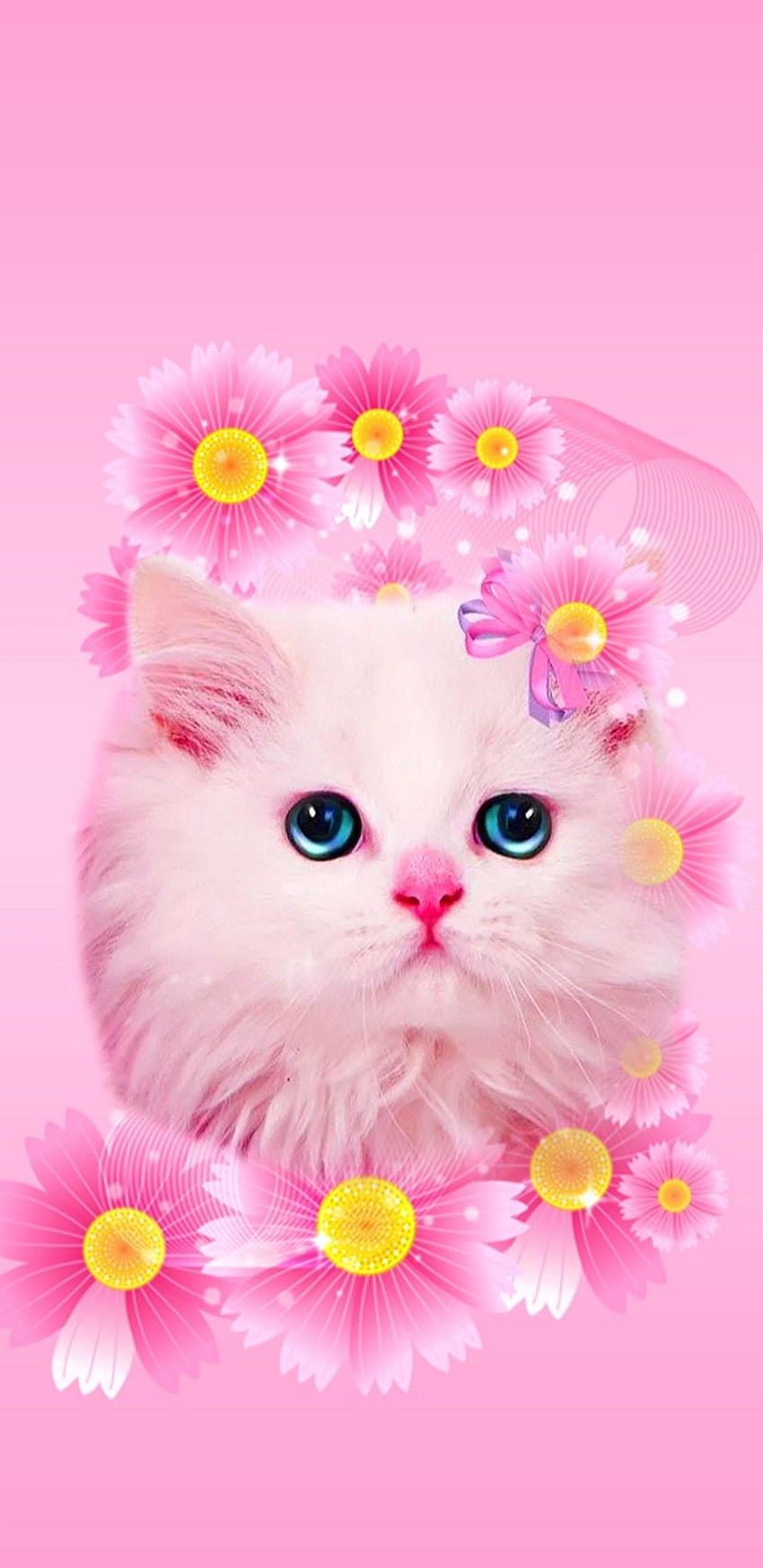 Pink Cute Kittens, pink kitten HD phone wallpaper | Pxfuel