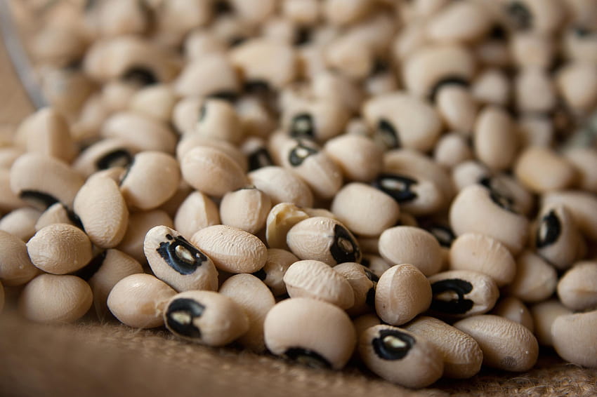 : beans, food, seed, ingredient, brown, organic, haricot HD wallpaper