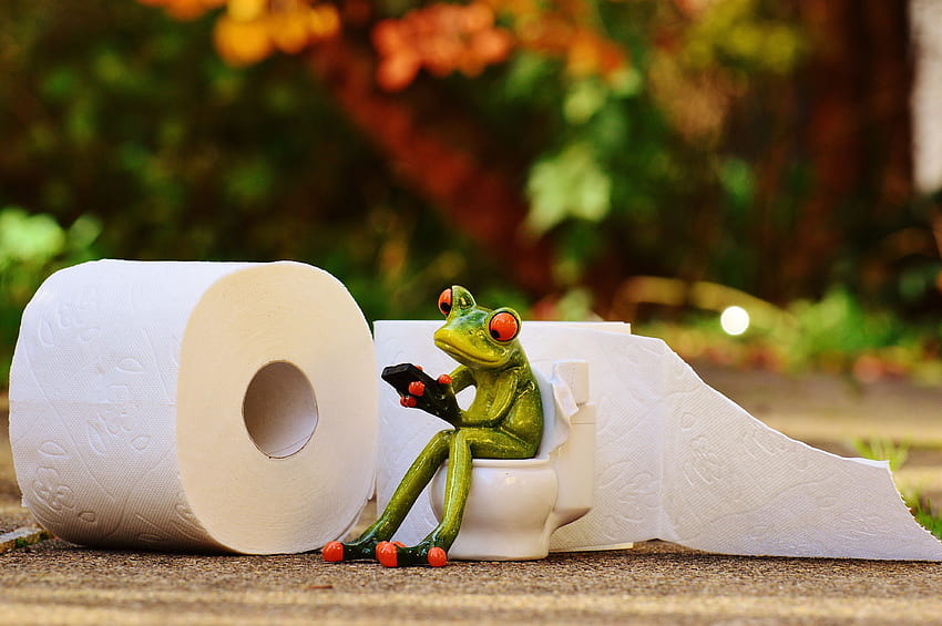 żaba siedzi na białej muszli klozetowej obok białej bibuły, papieru toaletowego Tapeta HD