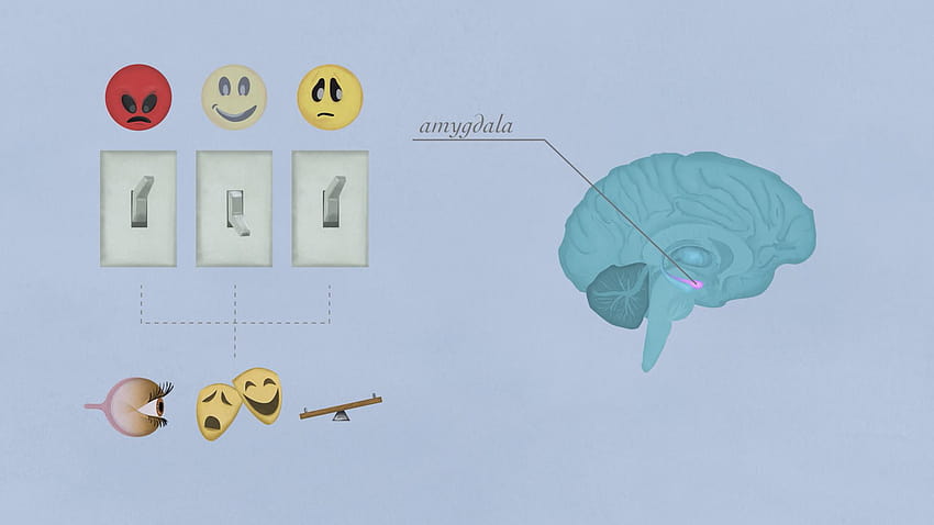 How your brain works when you're depressed HD wallpaper