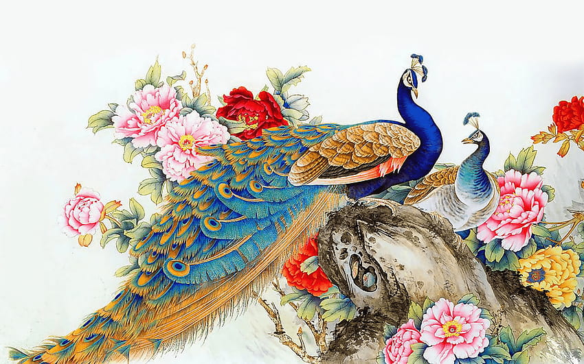 Peacock Art and Backgrounds, bird art HD wallpaper