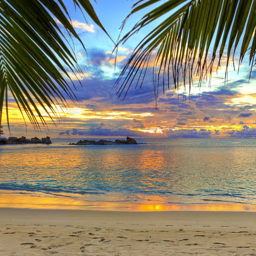 19 Best Sunrise Beach Backgrounds on All About Beach, summer beach sunrises HD phone wallpaper