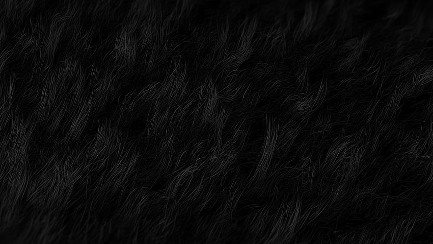 Black Hair Texture 42271, natural hair HD wallpaper | Pxfuel