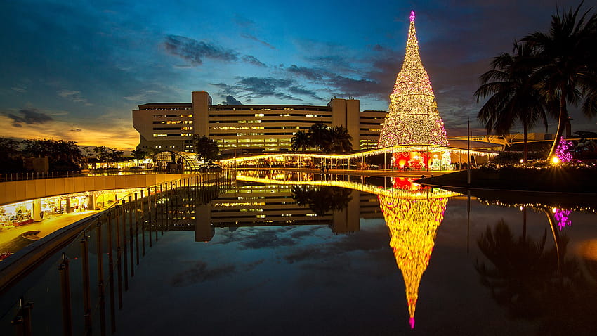 An illuminated Christmas Tree next to a shopping mall in Singapore, christmas reflection HD wallpaper