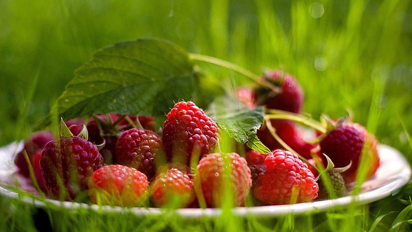 Етикет с малини: пресни плодове, малини, грейпфрути HD тапет