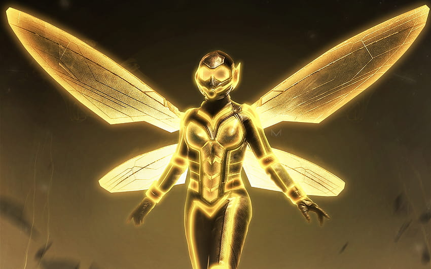 Wasp, 2018 movie, yellow suit, Ant, ant man suit HD wallpaper