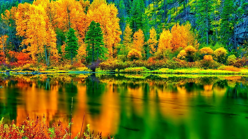 3 Paisaje de otoño, paisaje de otoño 1920x1080 fondo de pantalla | Pxfuel