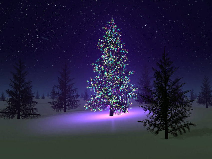 Beautiful Christmas Tree, christmas tree beauty HD wallpaper | Pxfuel