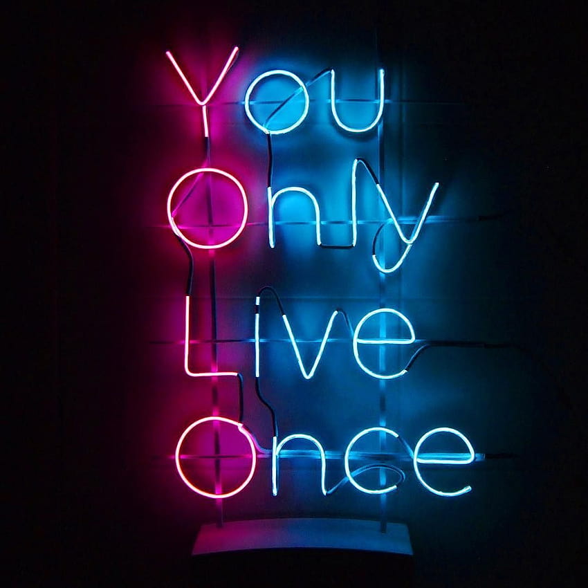 Yolo Wallpapers  Top Free Yolo Backgrounds  WallpaperAccess