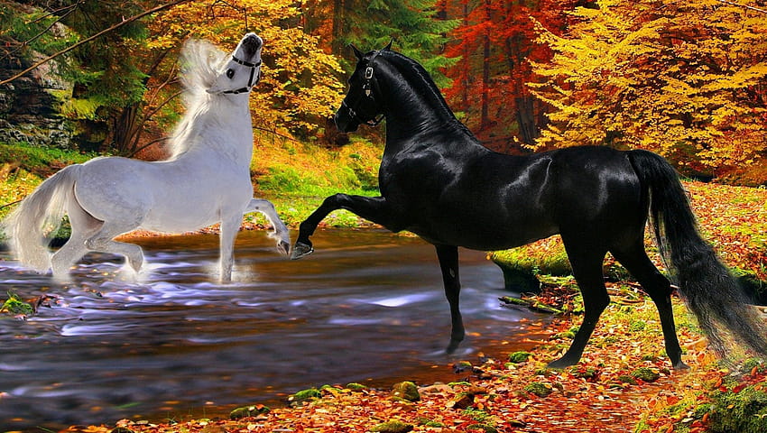 Horses in Fall, fall horse HD wallpaper