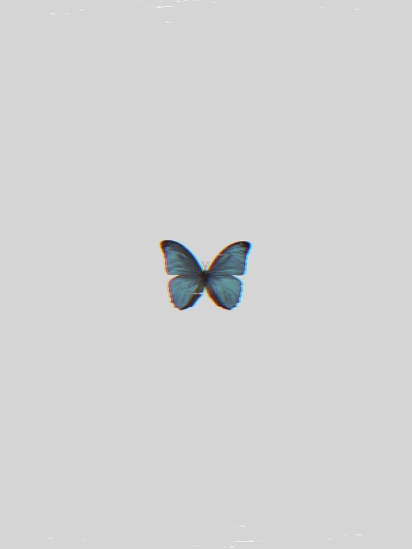 Blue Butterfly posted by Michelle Johnson, aesthetic blue butterfly HD phone wallpaper