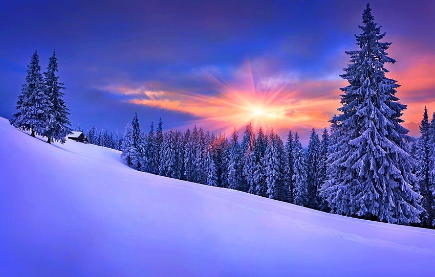 冬、空、雪、風景、自然、家、家、白、空、風景、自然、夕日、美しい、冬、雪、風景、セクション、美しい冬の日の出フルスクリーン 高画質の壁紙