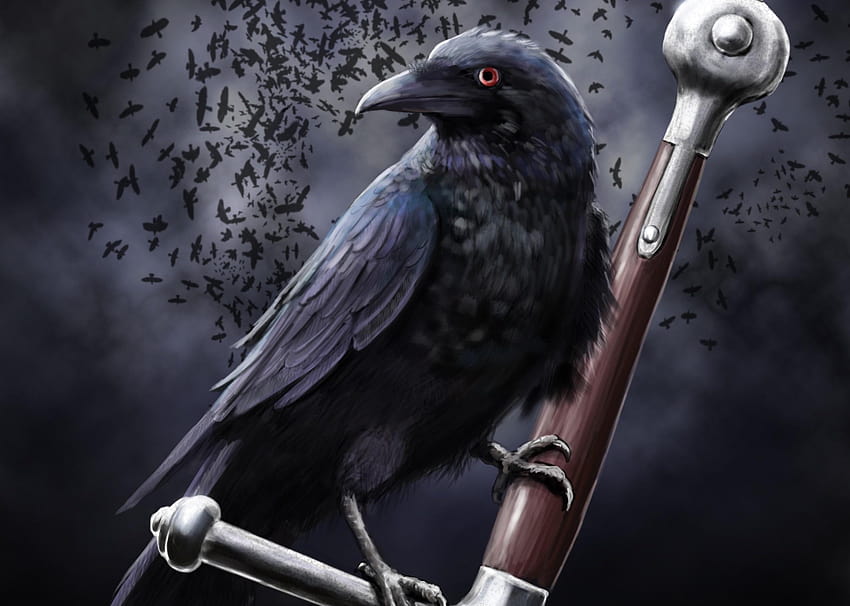Art leather raven crow clouds sword death dark swords weapon weapons HD wallpaper