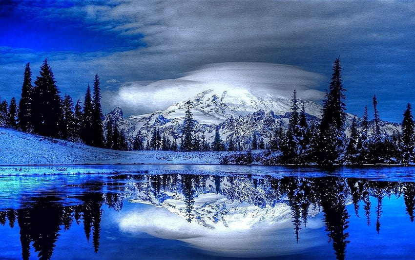 Snow Lake, arbres du lac d'hiver Fond d'écran HD