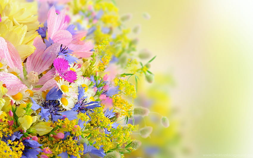Pretty Flowers ... Backgrounds, flowers full screen HD wallpaper | Pxfuel