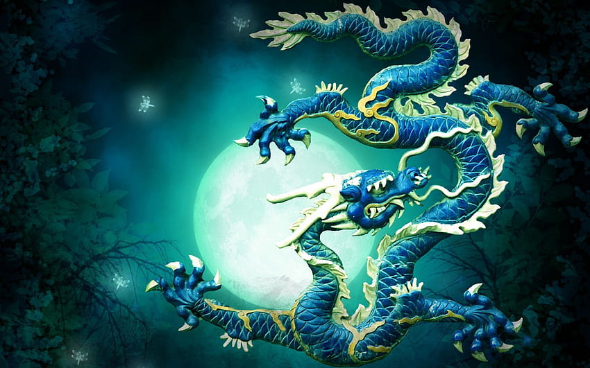5 Chinese Dragon, japanese dragon HD wallpaper