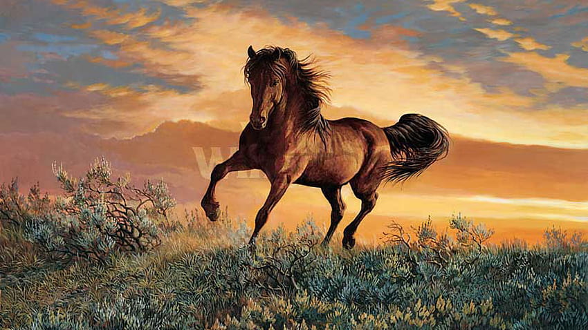 Cavalli selvaggi Mustang, cavallo pazzo Sfondo HD