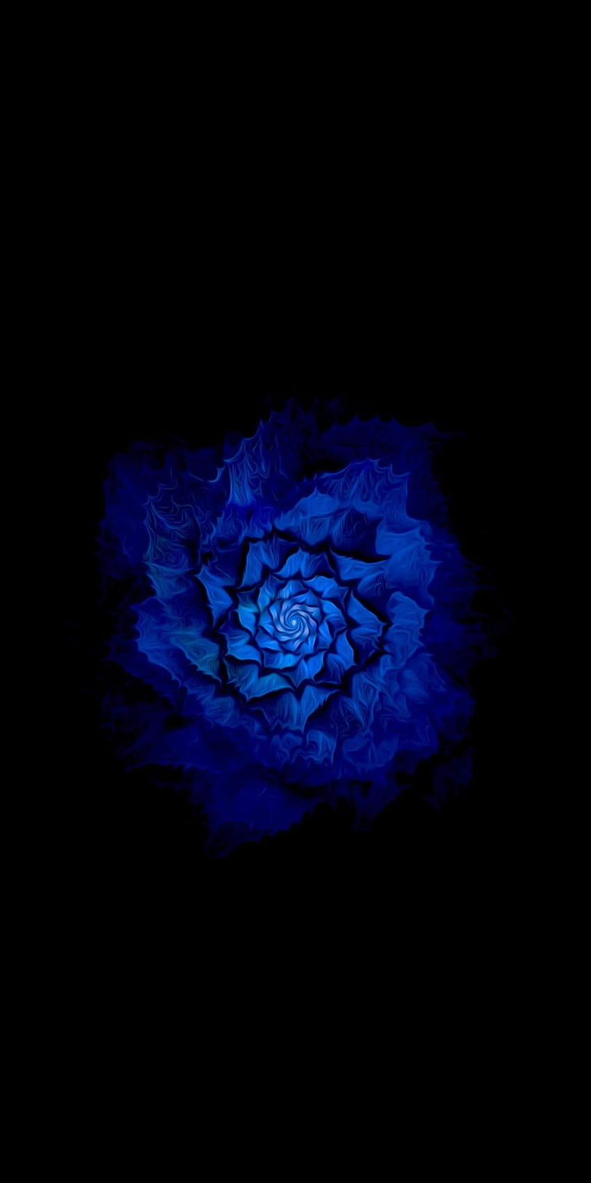 Bluish Flower Black Amoled ...oyebesmartest, amoled rose HD phone wallpaper