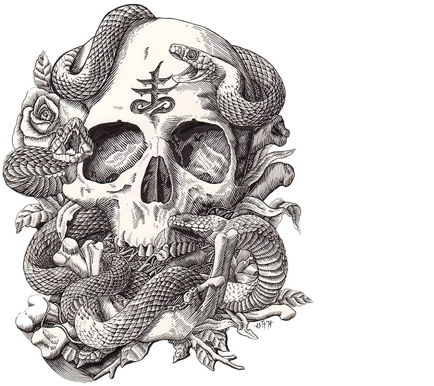 Skull Snakes Roses by 6danielrocha, skull and snake HD wallpaper