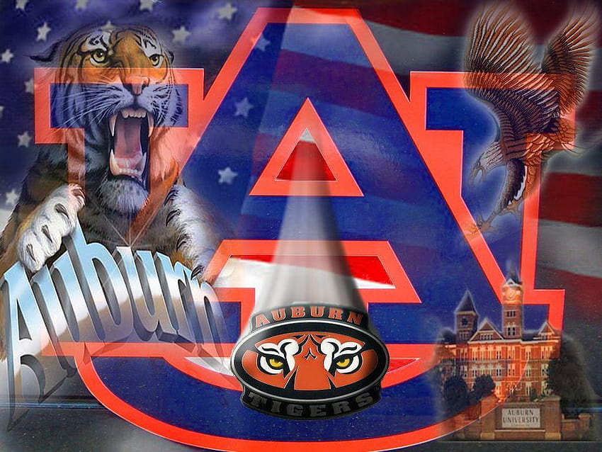 Auburn Tigers Hd Wallpaper Pxfuel