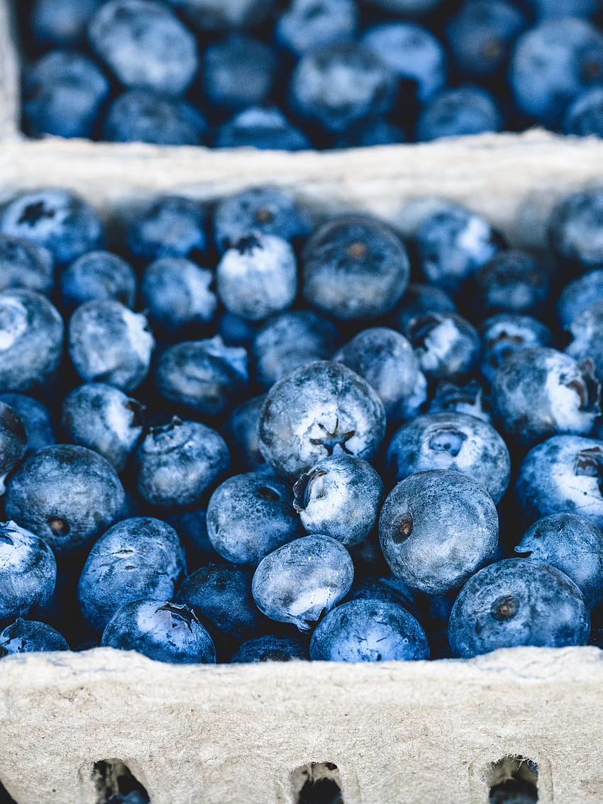 Fresh Blueberries HD phone wallpaper