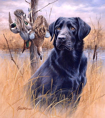 Hunting Dog Wallpapers HD Hunting Dog Backgrounds Free Images Download