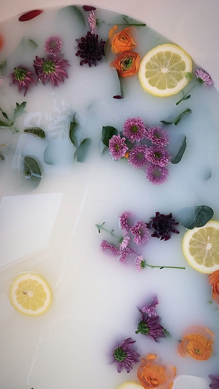 Milk bath flowers floral baby shoot HD phone wallpaper