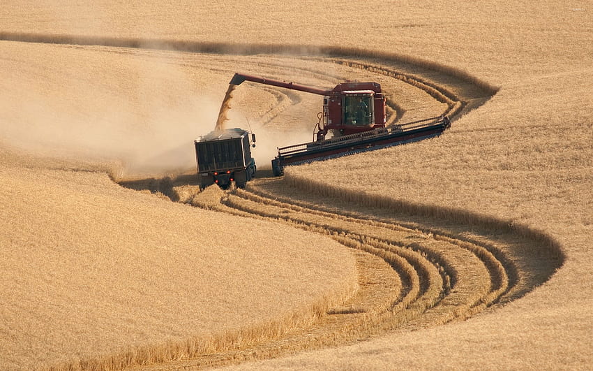 Massey Ferguson Hd Wallpaper Pxfuel