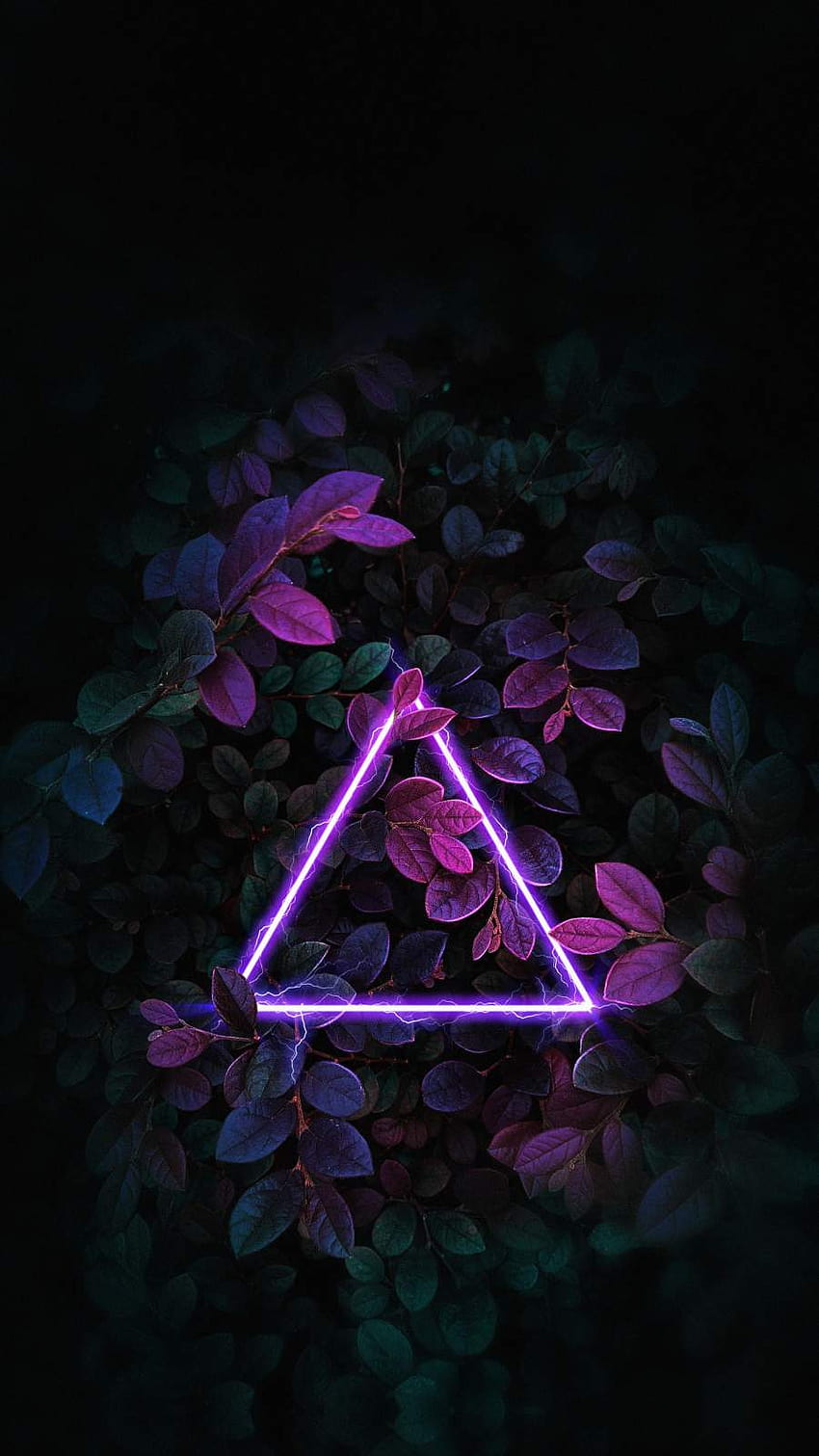 Triangle Neon Nature Foliage con risoluzione 900x1600 Sfondo del telefono HD