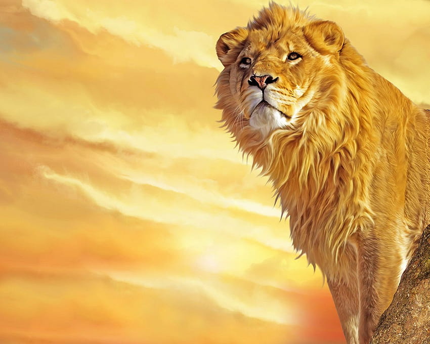 Art Bodypainting : Lion HD wallpaper