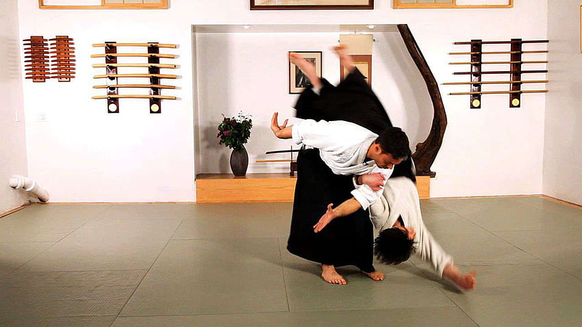 How to Do Koshi Nage in Aikido HD wallpaper