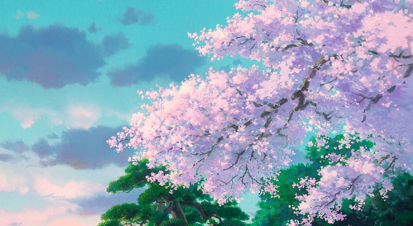 Le vent se lève de Hayao Miyazaki, ordinateur portable studio ghibli Fond d'écran HD