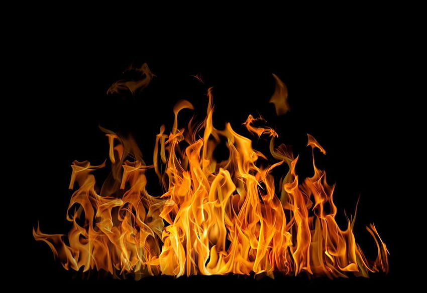 Accelerated oxidation Flame Black backgrounds, fire black background HD wallpaper