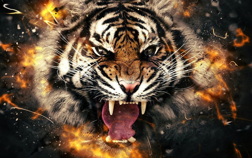 Tiger Backgrounds 62113, scary tiger HD wallpaper | Pxfuel