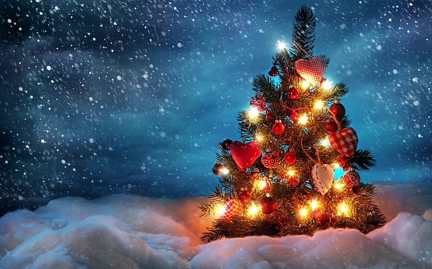 40 Красива коледна елха, украсена Коледа HD тапет