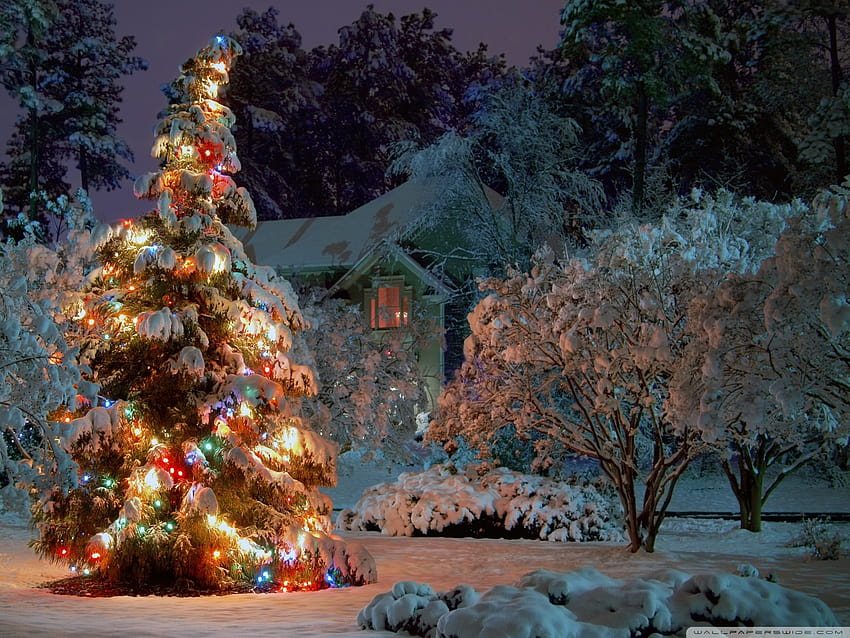 Christmas At Night Ultra Backgrounds for, christmas real HD wallpaper |  Pxfuel