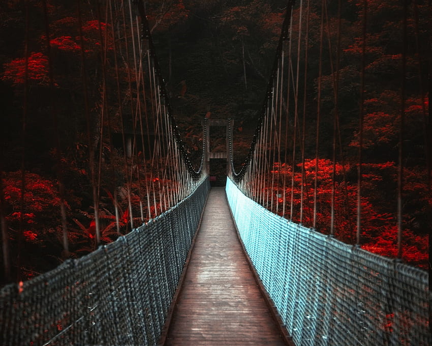 2809849 / landscape nature dark fall bridge trees red HD wallpaper | Pxfuel