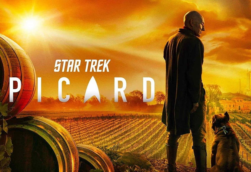 Star Trek: Picard': What's Jean, star trek picard HD wallpaper