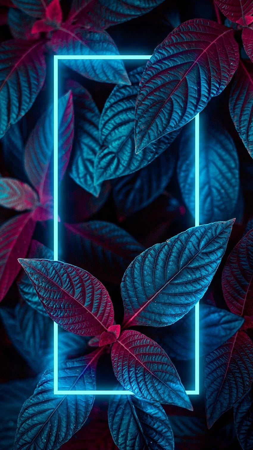 Papel de paredes plantas Neon, Neonnatur HD-Handy-Hintergrundbild