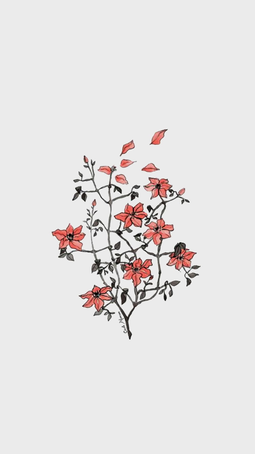 Flower, pastel minimalist floral HD phone wallpaper