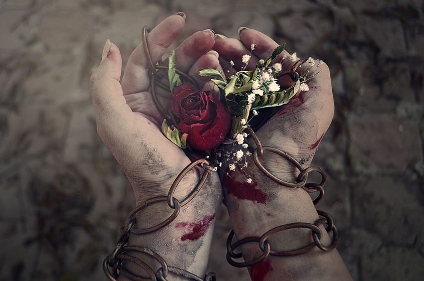 Blood Roses Chain Hands HD wallpaper