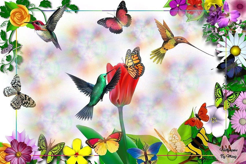 6 Spring Hummingbird, hummingbird and roses HD wallpaper