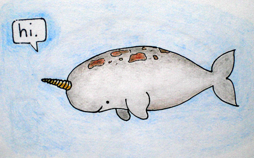 Narwhal 2900x1788 ID29803 Vortexcom [2900x1788] for your , Mobile & Tablet, kawaii narwhal HD wallpaper